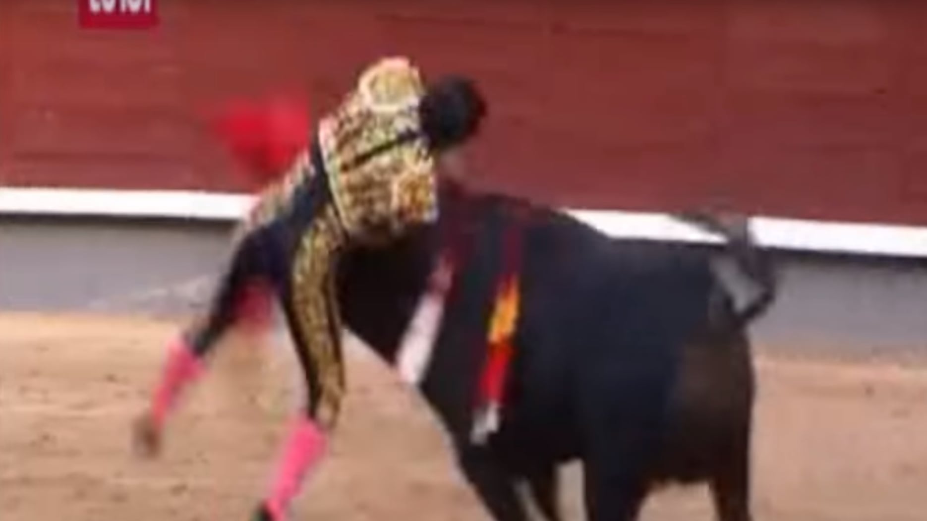 Colpito al polmone durante la corrida: muore il torero Ivan Fandiño