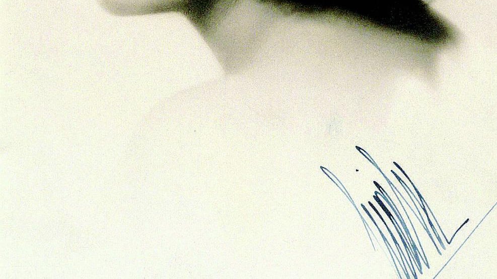 Liala, dieci milioni di copie scrivendo solo il mercoledì