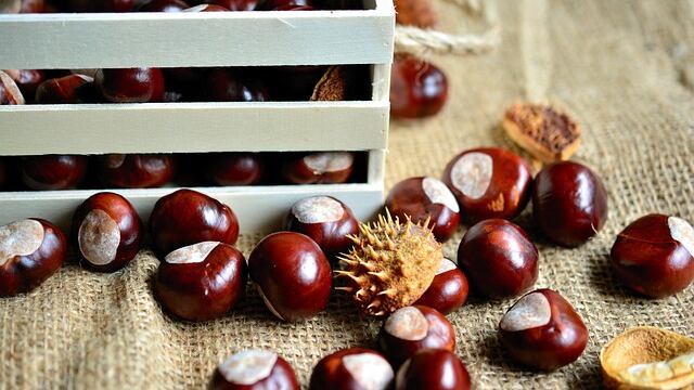 Castagne con friggitrice ad aria o al forno: i modi migliori per cuocerle