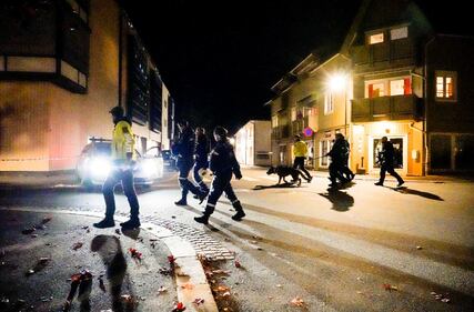 Strage in Norvegia dove 5 persone sono morte e due sono rimaste ferite 2
