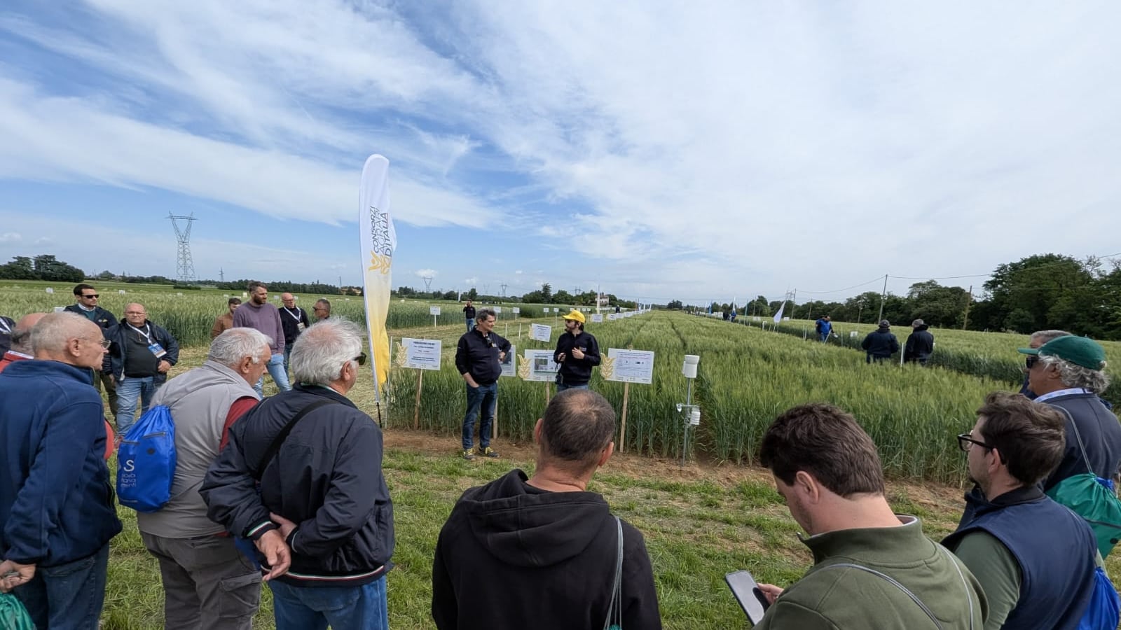Consorzi Agrari d’Italia, cereali: qualità in crescita ma criticità su superfici, prezzi e costi di produzione