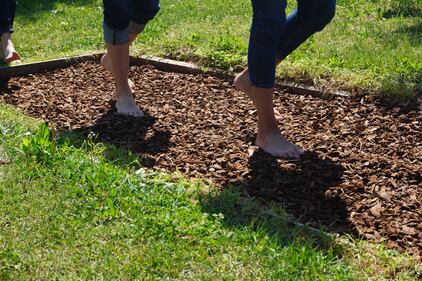 A piedi nudi tra natura e scienza: presentati i dati italiani che misurano gli effetti del barefooting 5