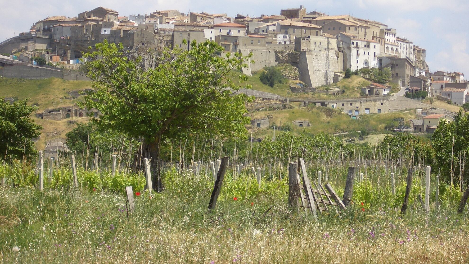 Acerenza, il borgo che potrebbe custodire il Sacro Graal