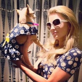 Paris Hilton hot, topless per il Selfie Day 11
