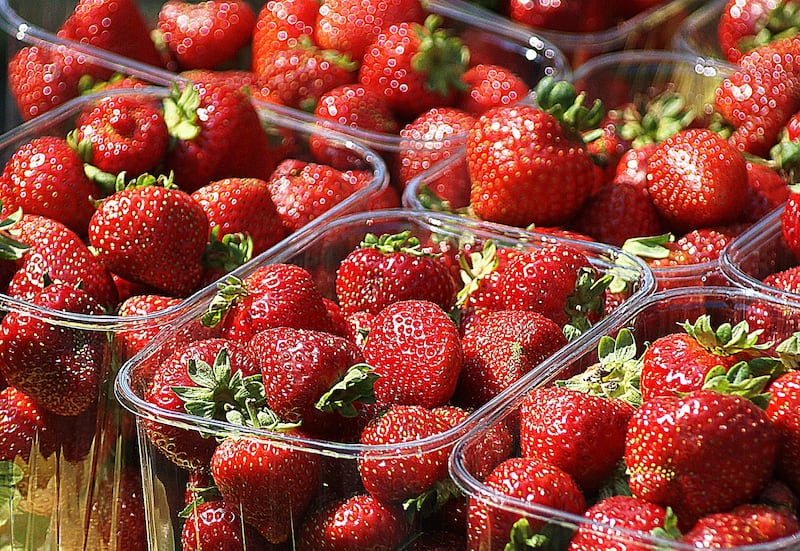 Fragole