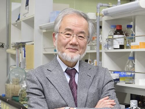 Nobel per la Medicina al giapponese Oshumi