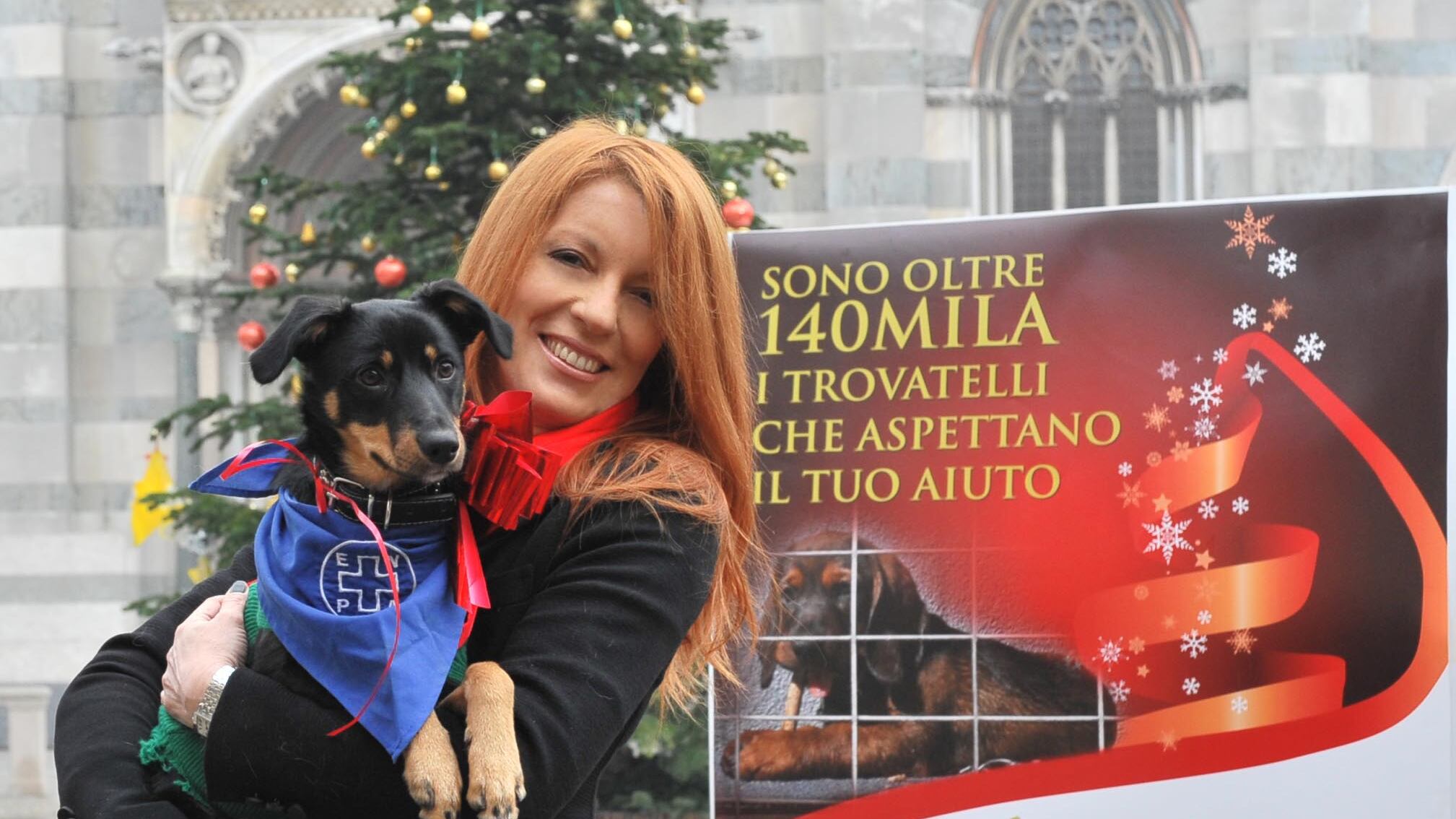 Accogliere un cucciolo sotto le feste di Natale