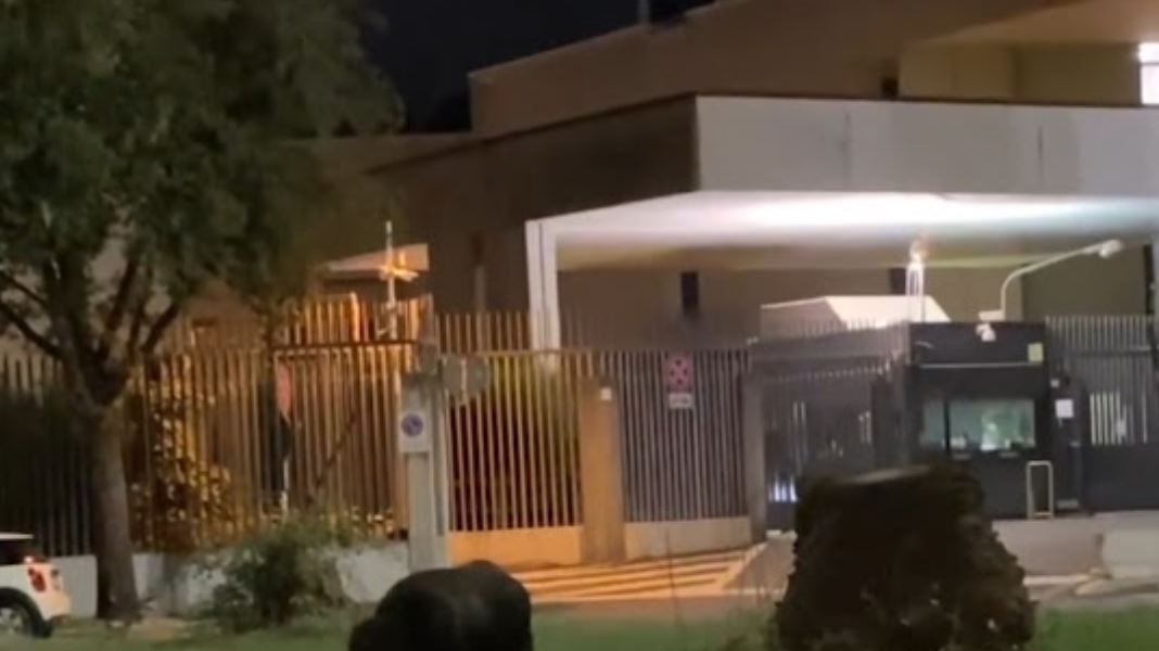 I cinghiali romani aggrediscono e rubano anche la spesa