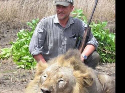 Il veterinario cacciatore di leoni è morto in un incidente di montagna