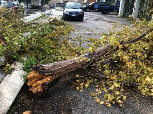 Vento e feriti: il Sud fa la conta dei danni della tempesta di Santa Lucia