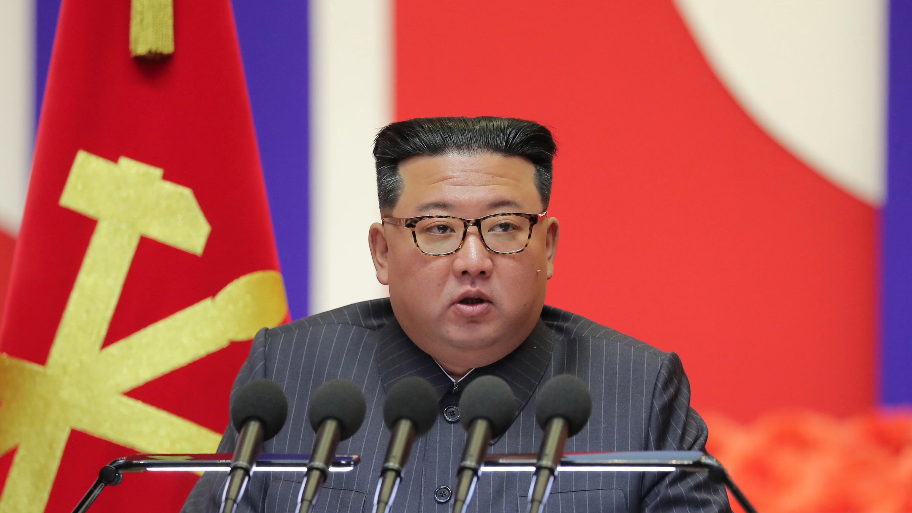 I cani di Kim finiti allo zoo: ira Pyongyang contro Seul