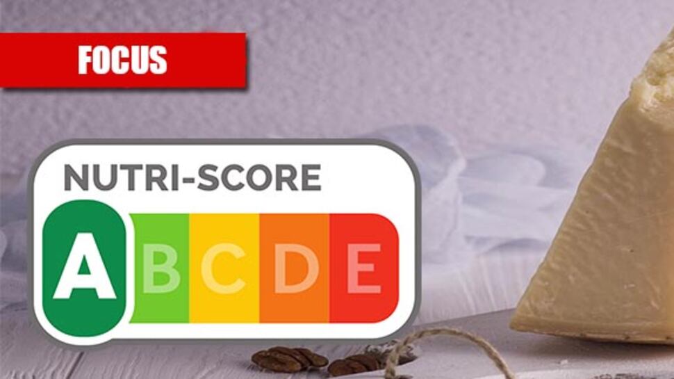 “Sinistra italiana a favore degli insetti e del Nutriscore”. Boicottaggio rosso in Ue sul Made in Italy