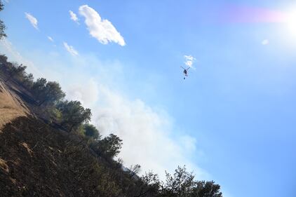 Roma, bruciati più di 50 ettari: evacuati struttura per anziani e convento 15