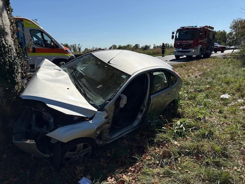 Udine, l’auto si schianta contro un platano. Muore bimba di 11 anni, gravissima la sorellina di 4