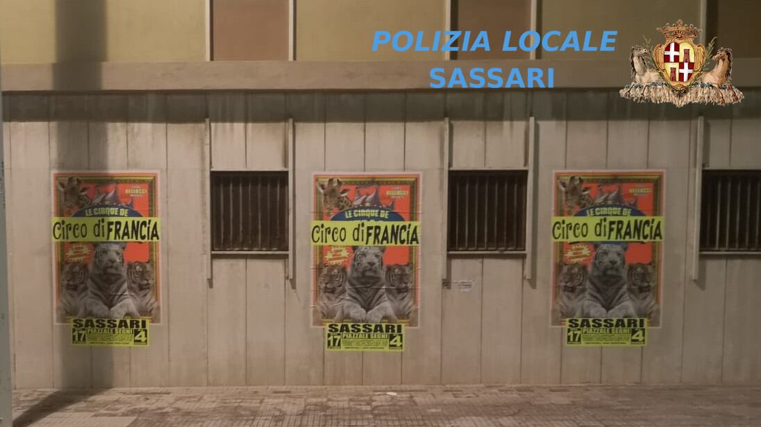 Sassari, circo riempie la città di manifesti. Interviene la polizia municipale