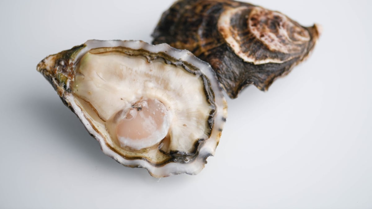 “Oyster Experience”, tutti i segreti delle ostriche