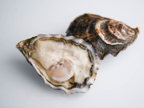 “Oyster Experience”, tutti i segreti delle ostriche
