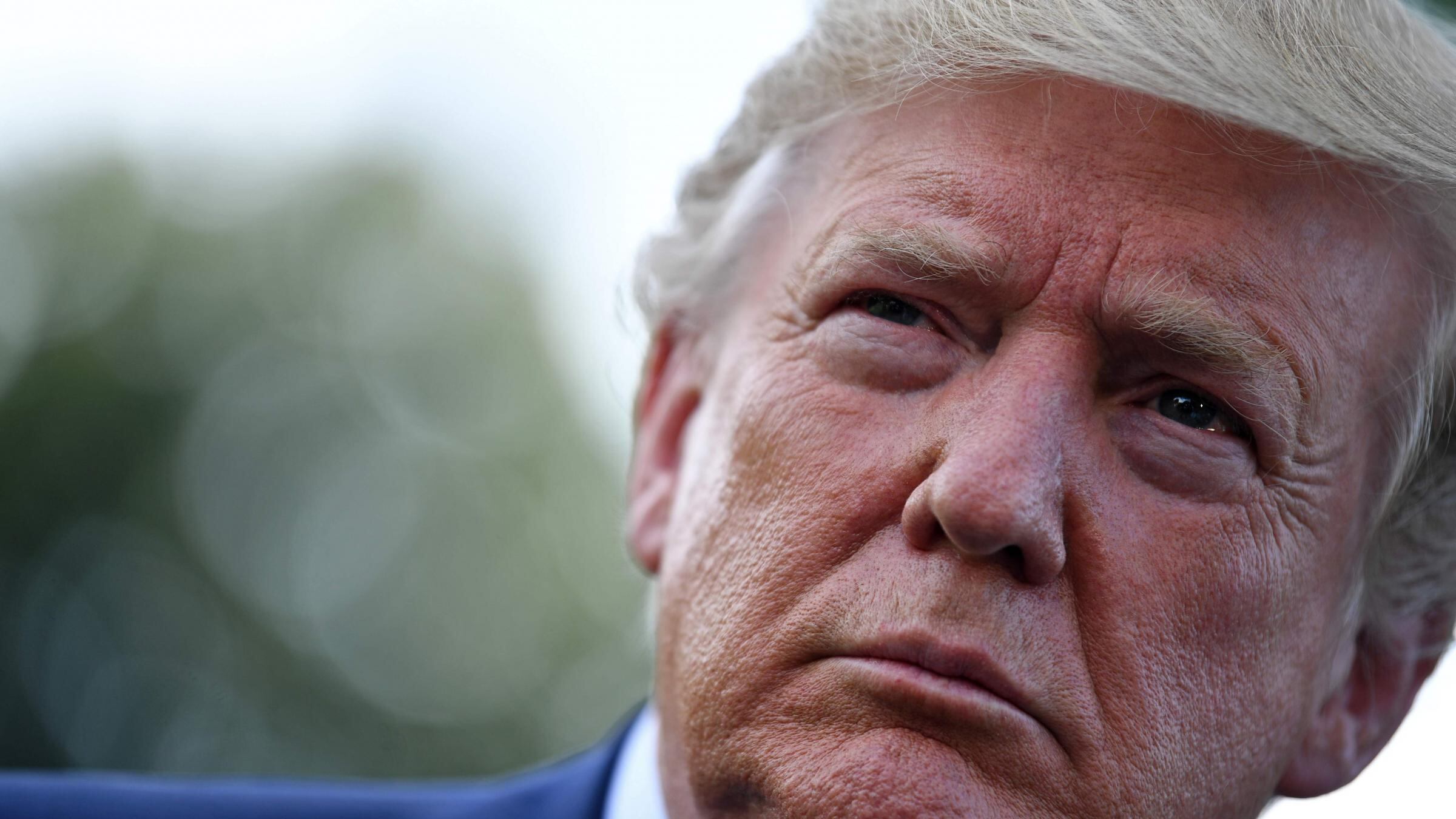 Donald Trump contro le elite del cinema: “Hollywood è razzista”