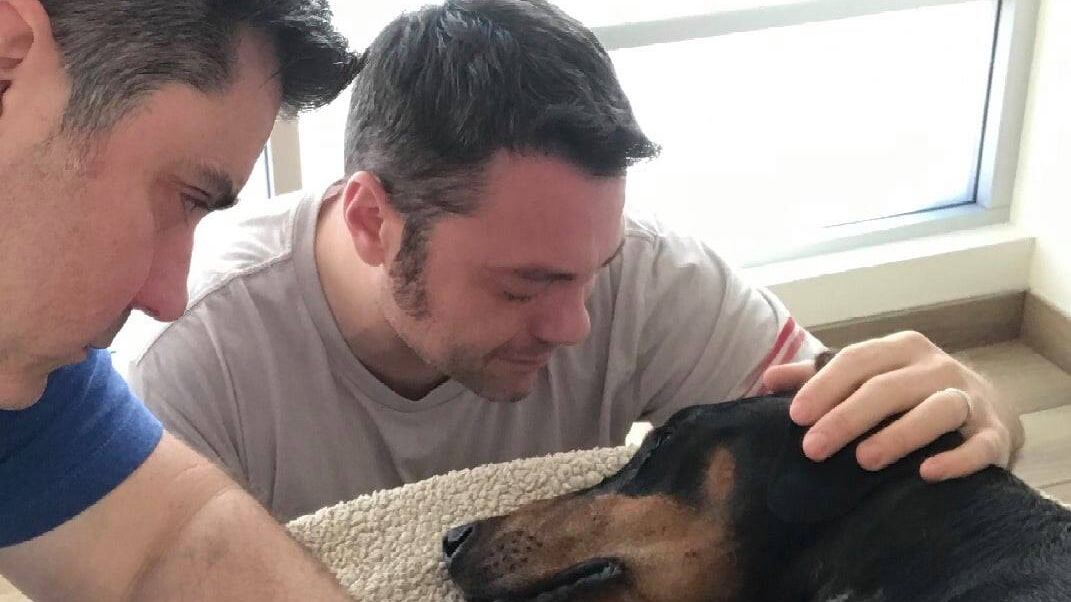 Prima la gioia di rivederlo, poi il triste annuncio. È morto il cane di Tiziano Ferro