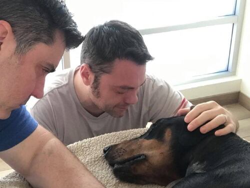 Prima la gioia di rivederlo, poi il triste annuncio. È morto il cane di Tiziano Ferro