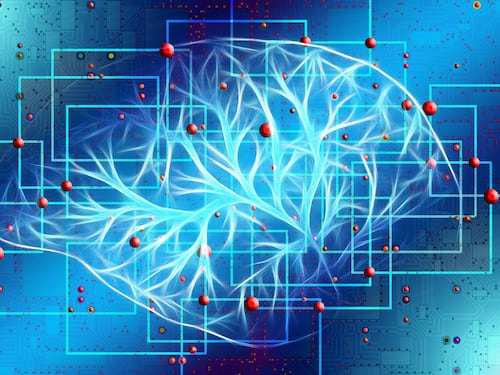 L'intelligenza artificiale può predire il rischio di morte precoce
