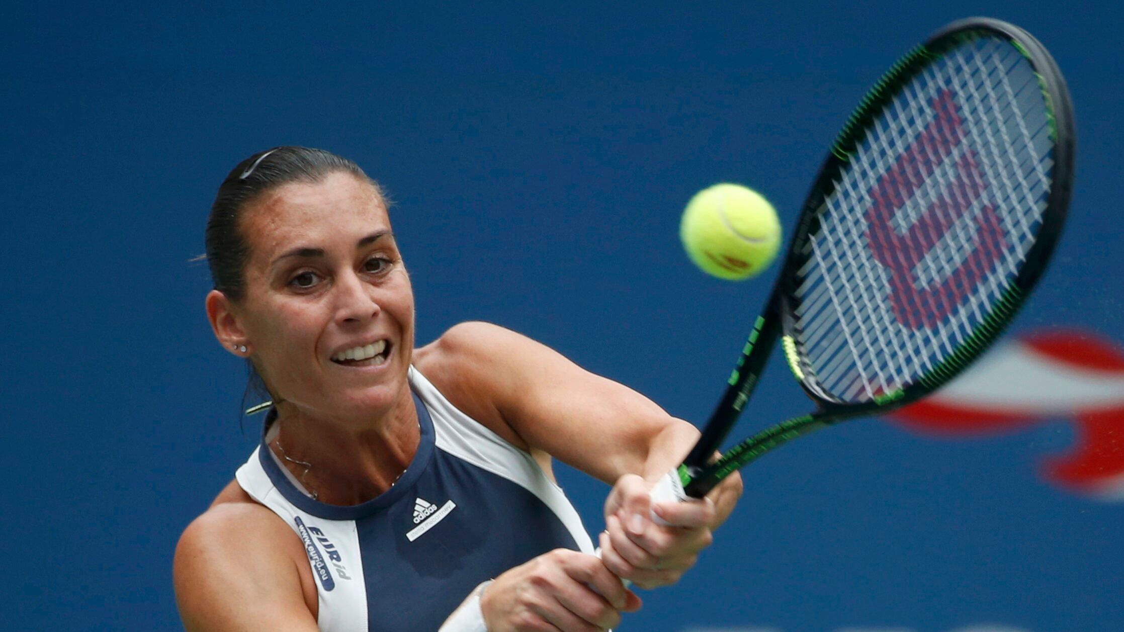 Pennetta, la femmina da record rinata mille volte