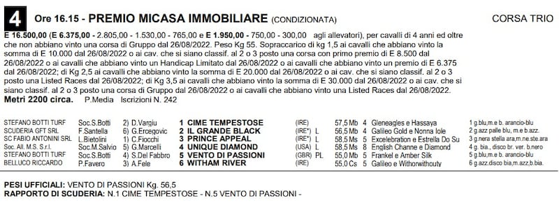 Premio Micasa
