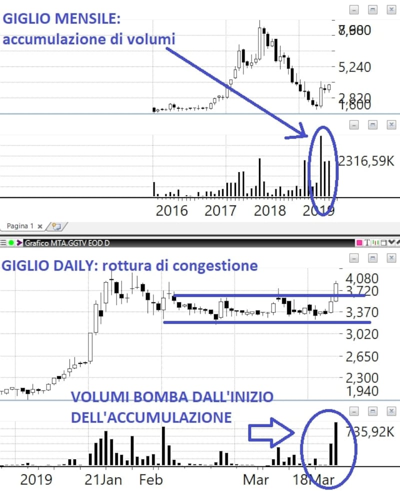 Grafico 3