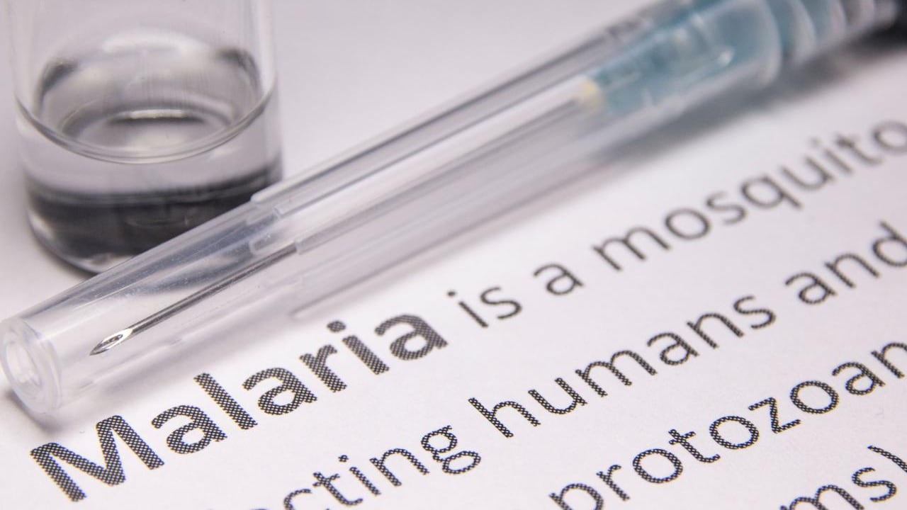 Sanità: Giornata mondiale malaria, Iss '700-800 casi l'anno importati, 5 cose da sapere'
