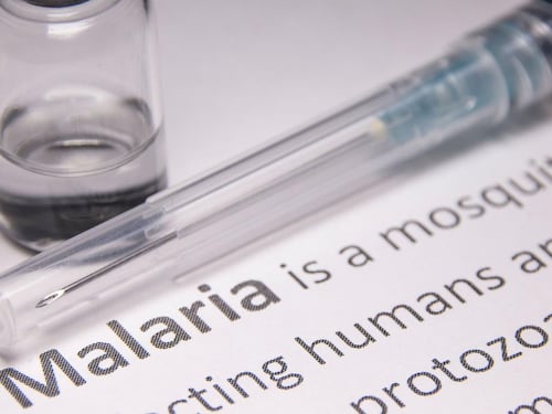 Paura malaria in Germania: un morto e 5 contagiati all’aeroporto di Francoforte