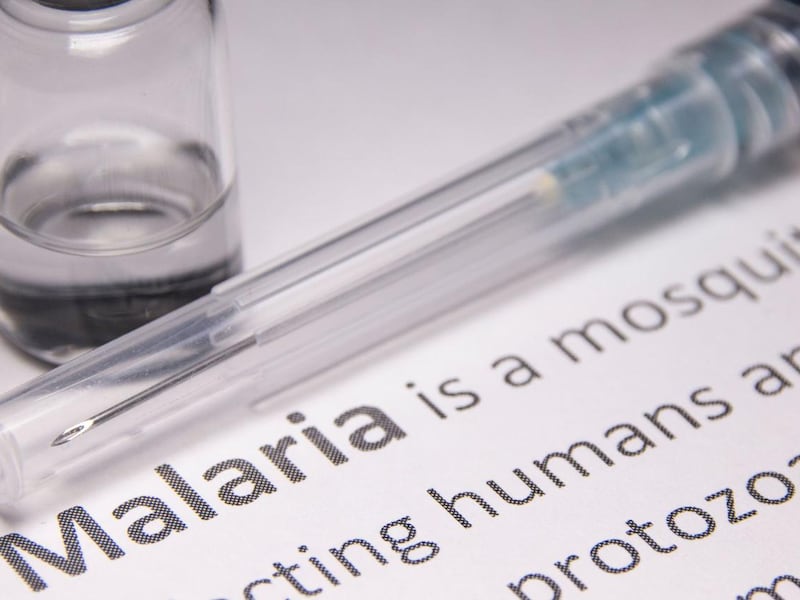 Paura malaria in Germania: due morti e 4 contagiati all’aeroporto di Francoforte