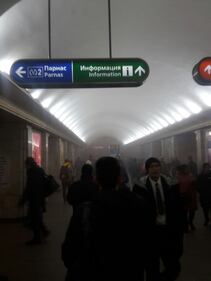 Russia, le foto da San Pietroburgo 3