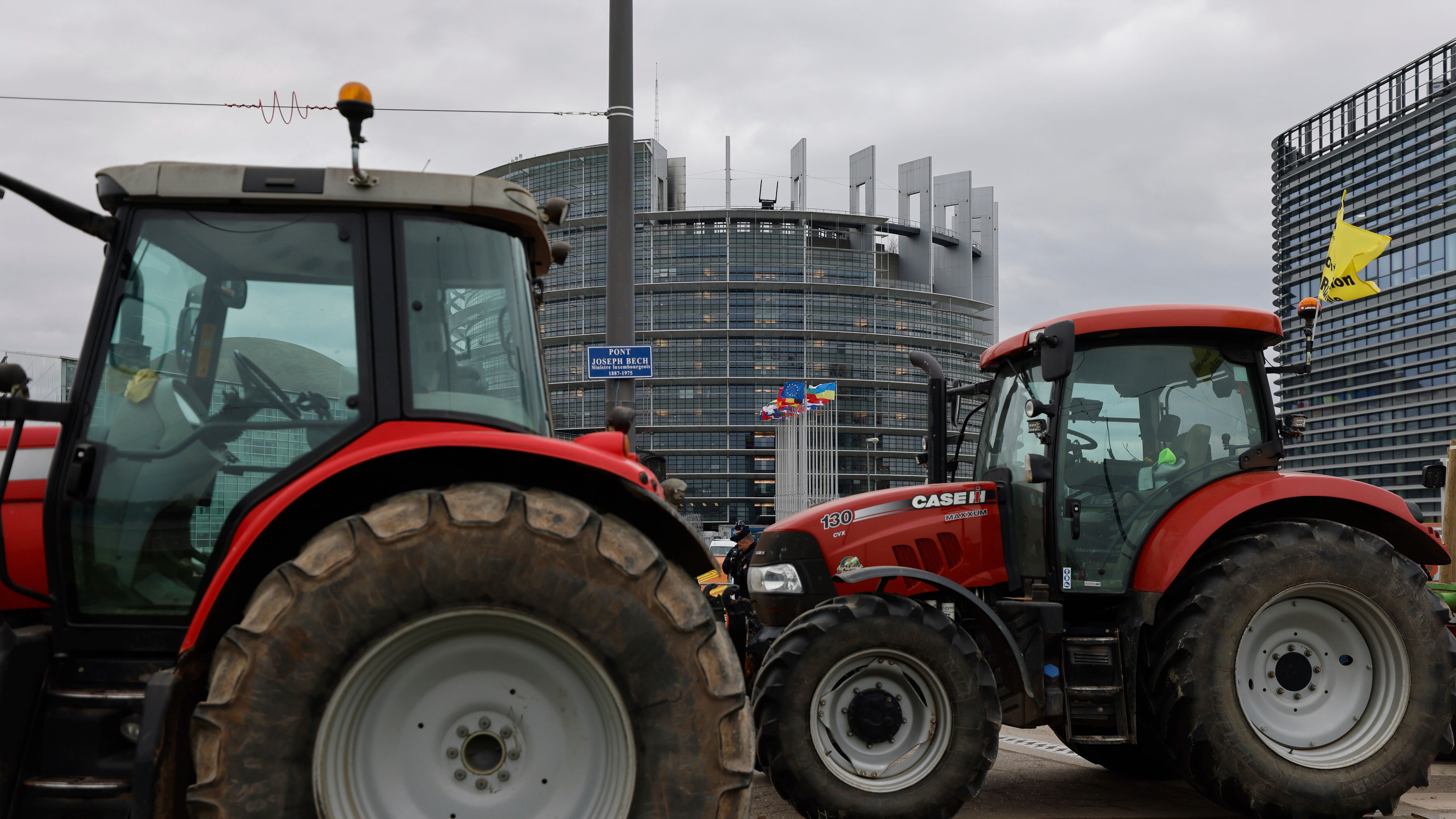 Ripristino natura, via libera di Bruxelles: l'ennesima mazzata agli agricolturi