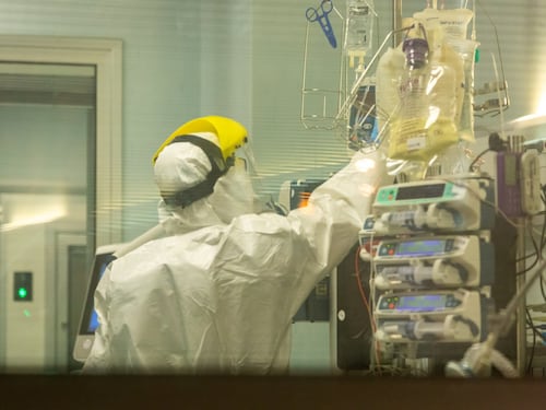 Ricoverato in terapia intensiva per Covid: invece è leptospirosi