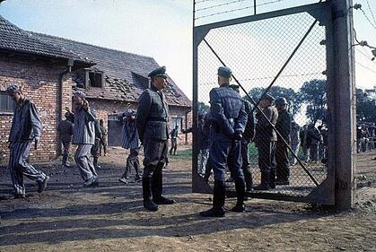 Film sull'Olocausto, foto 43