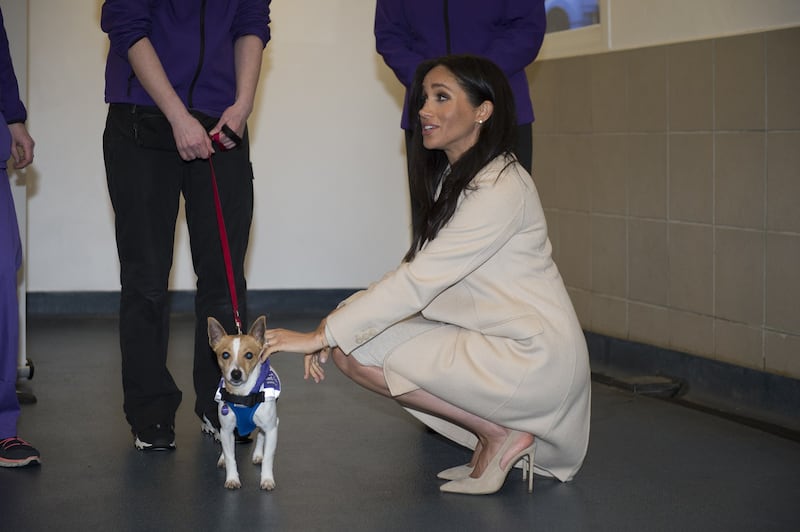 Meghan Markle incinta: le foto 5