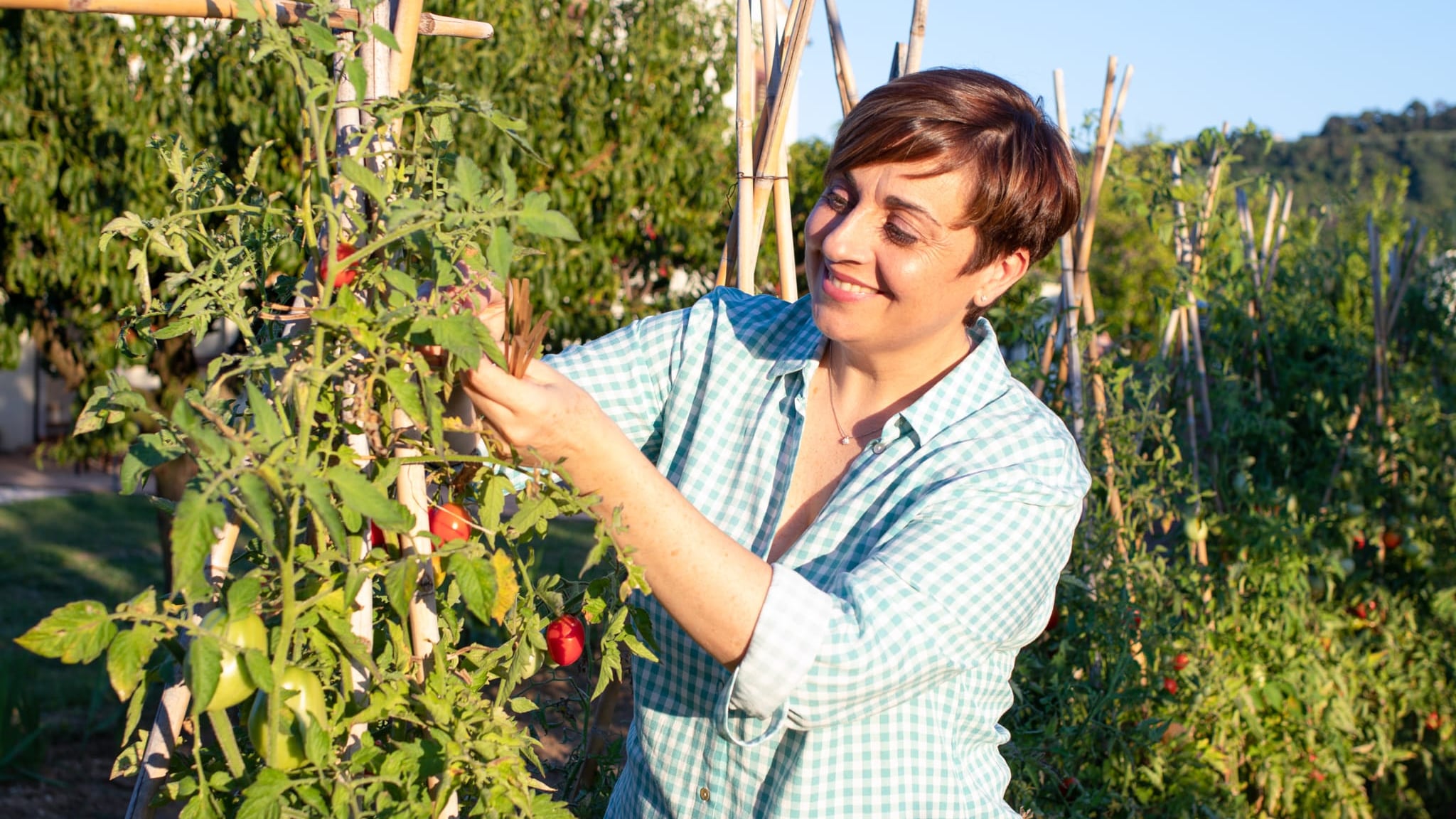 Mondadori consolida la posizione di leadershp nel Food & Cooking. Nasce la partnership con Benedetta Rossi