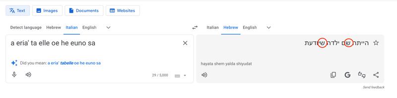 Screen Google Translate