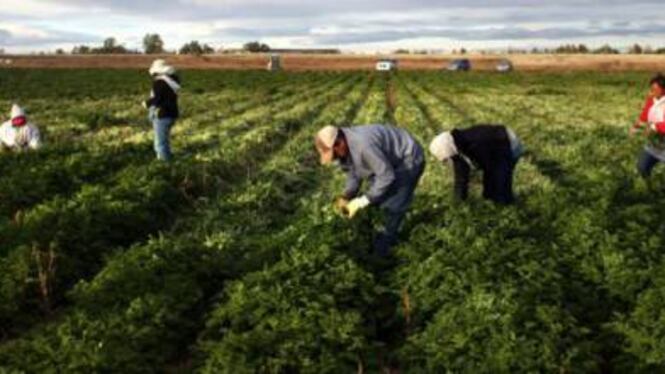 Spara contro braccianti per farli lavorare di più