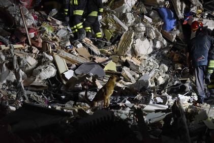 Lady Gaga per il terremoto: foto 32