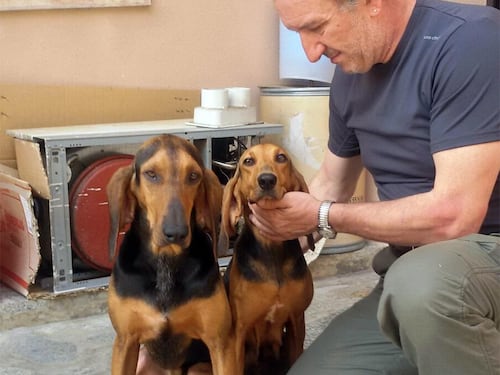 Giallo dell’imprenditore scomparso a Brescia: trovato morto il dipendente