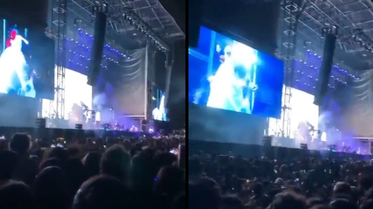 Decine di spettatori feriti al concerto di Lana Del Rey: la caduta a "effetto domino"