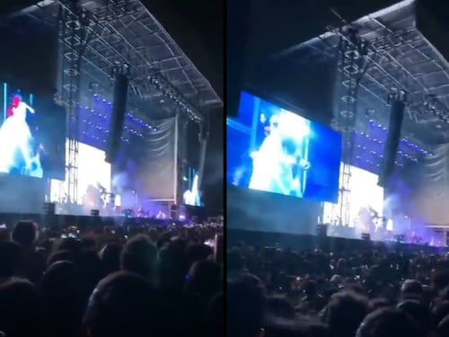 Decine di spettatori feriti al concerto di Lana Del Rey: la caduta a "effetto domino"