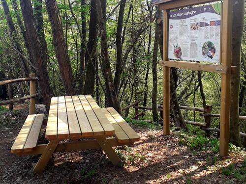 La "Via delle Castagne", un cammino tra natura e storia