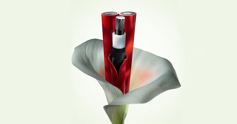 Prysmian, fiore