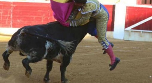 Toro incorna il matador 5