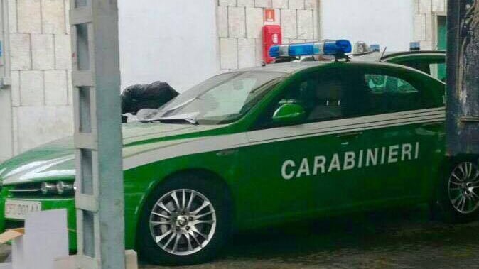 La rivoluzione nei carabinieri: ecco le auto verdi per i forestali