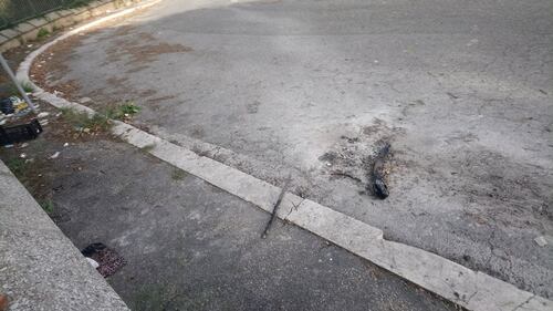Il degrado di Villa Doria Pamphilij 2