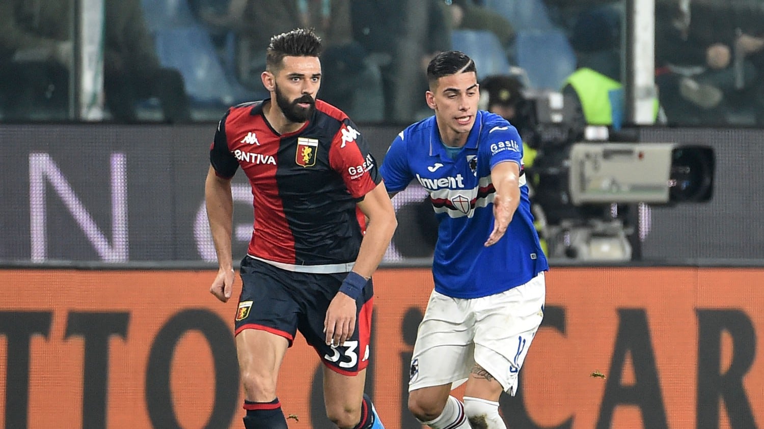 Gabbiadini-flash, Lanterna blucerchiata