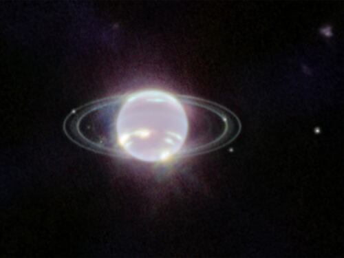 La spettacolare immagine di Nettuno catturata dal telescopio Webb